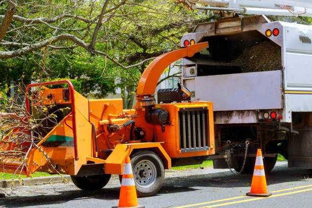 Best Utility Line Clearance  in Wellston, MO