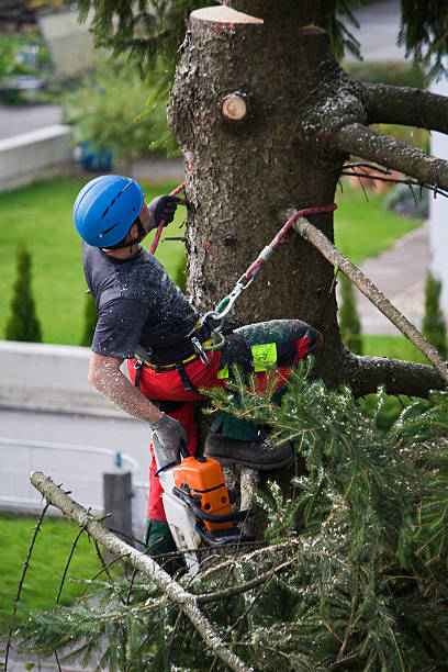 Best Commercial Tree Services  in Wellston, MO